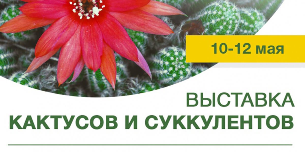 Выставка кактусов и суккулентов 0 (0)