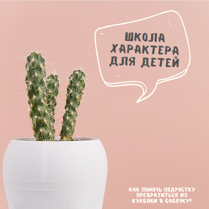 Школа характера 0 (0)