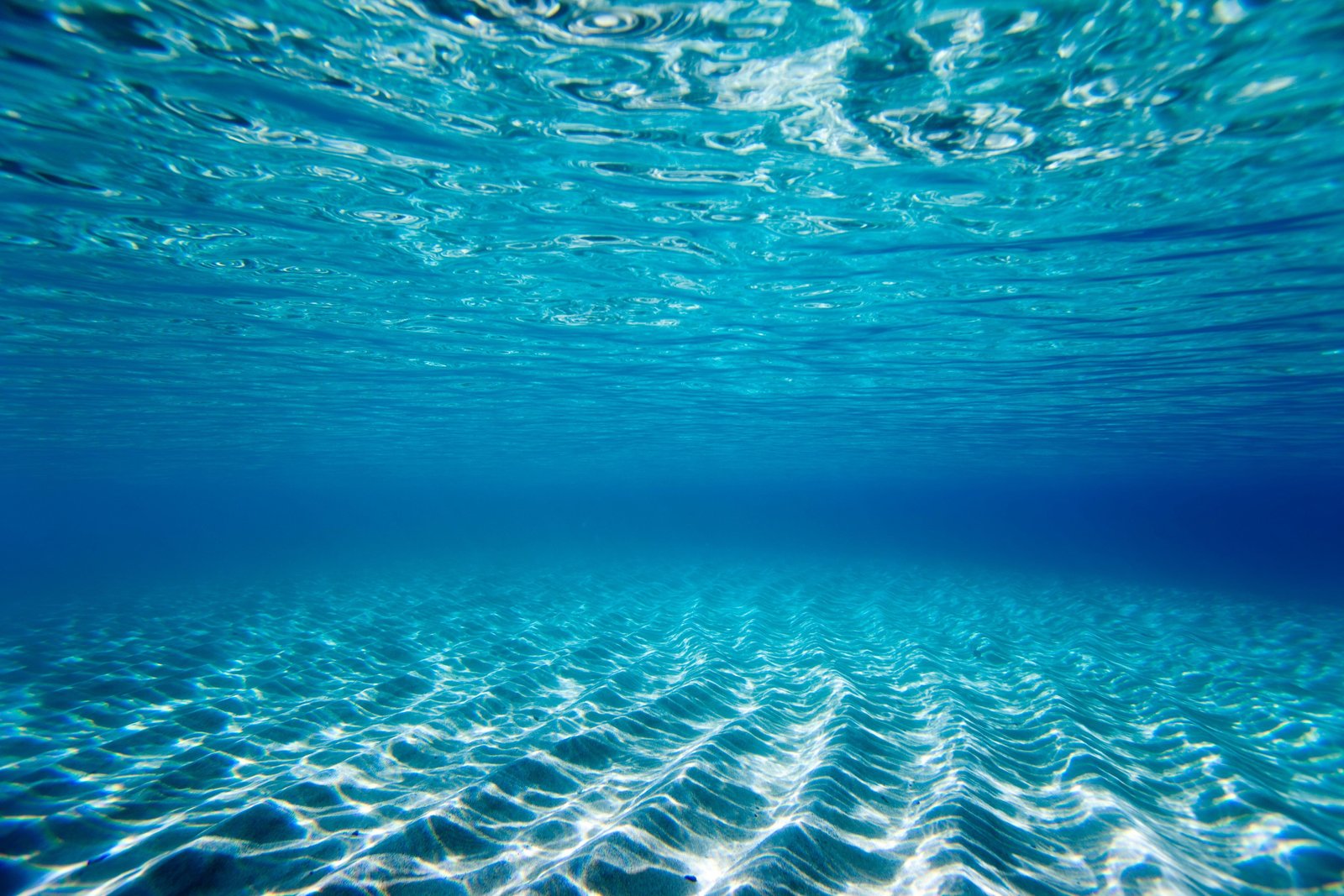 Water Day в Музее интересной Науки 💧 0 (0)
