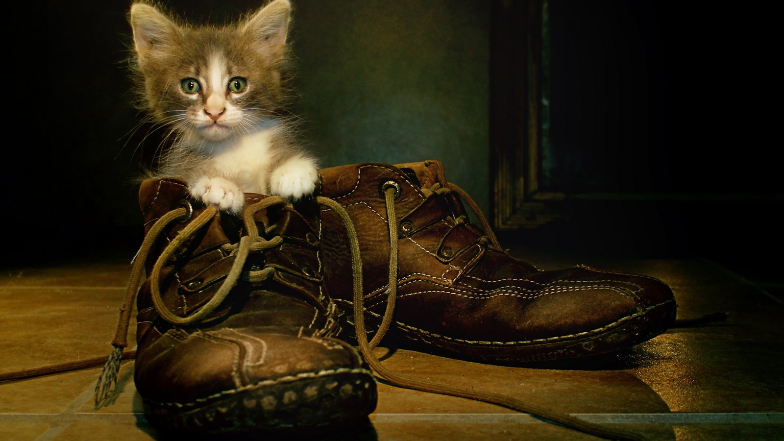 СПЕКТАКЛЬ КОТ В САПОГАХ 🐱 0 (0)