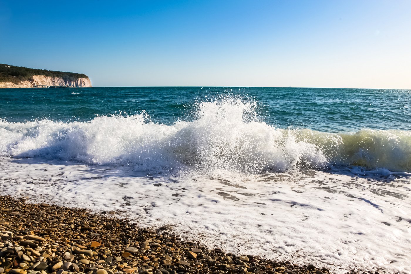 БАЛ ЧЁРНОГО МОРЯ🌊 0 (0)