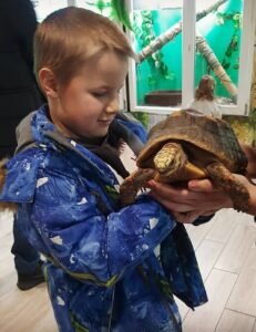 "Змеиная ферма" в Одессе