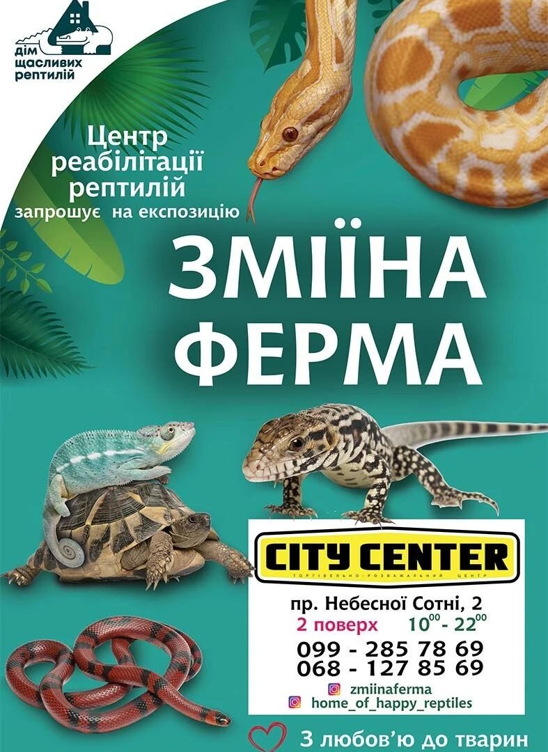 «Змеиная ферма» в Одессе 5 (2)