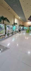 "Змеиная ферма" в Одессе