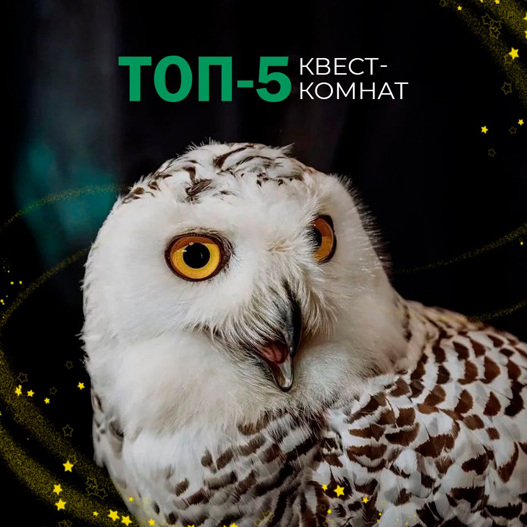 “Вилли Вонка и Шоколадная фабрика”🍫 0 (0) “Вилли Вонка и Шоколадная фабрика”🍫 0 (0)