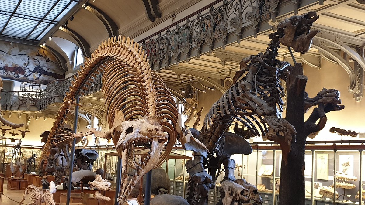 Музей анатомии в Одессе 0 (0)