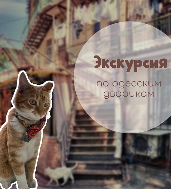экскурсии по одесским дворикам экскурсия по одесским дворикам