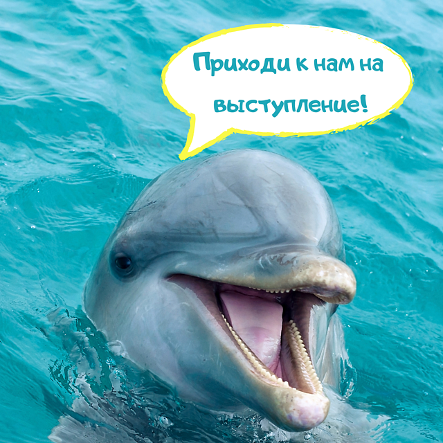 дельфинарий в Одессе