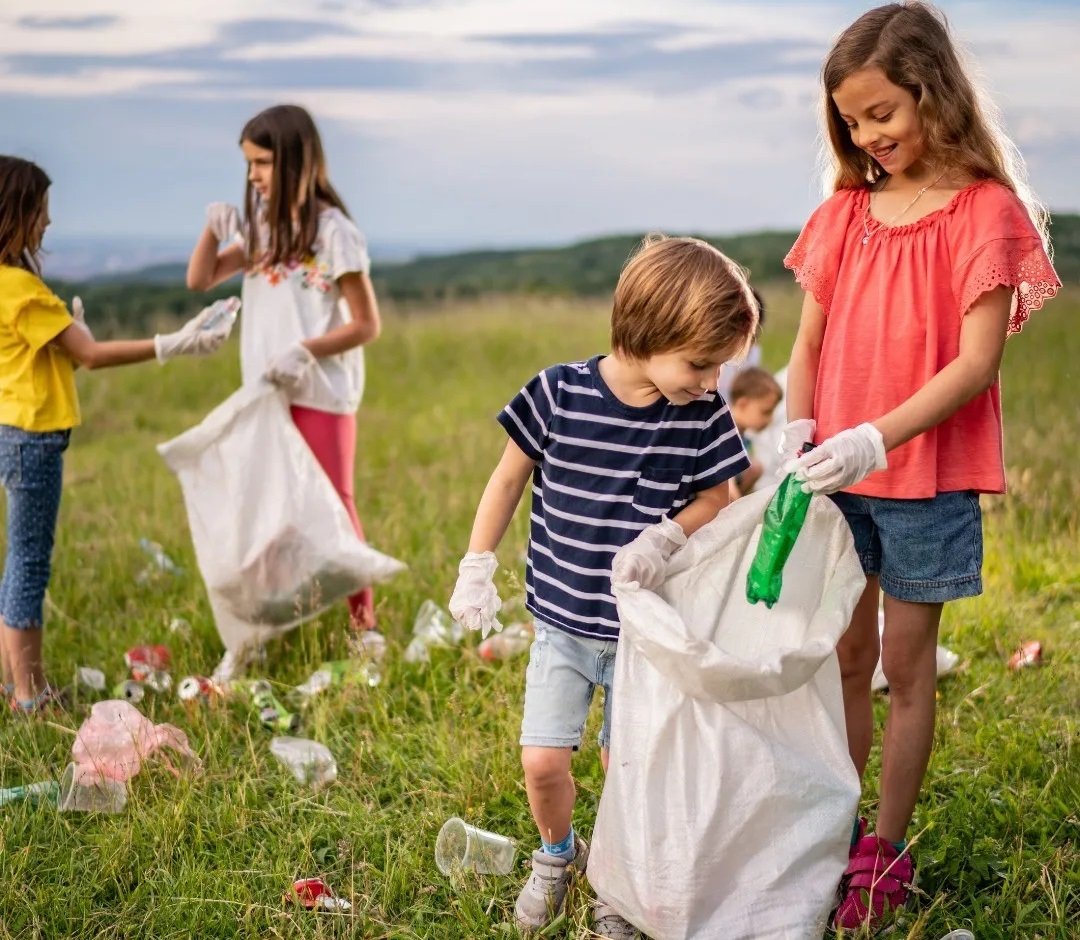 Сортируете ли вы отходы? 0 (0) Сортируете ли вы отходы? 0 (0)