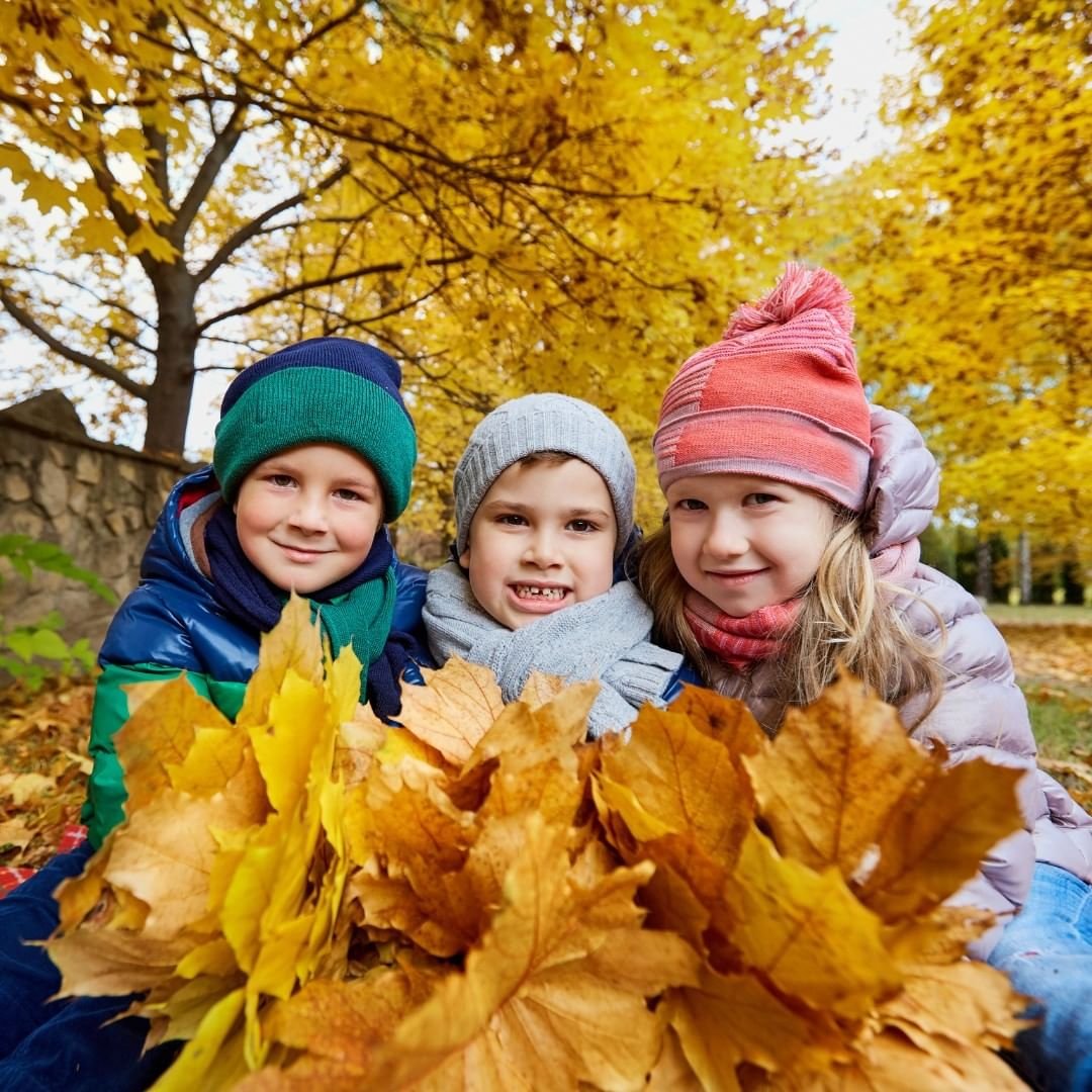 Теплая осень — время прогулок 0 (0)