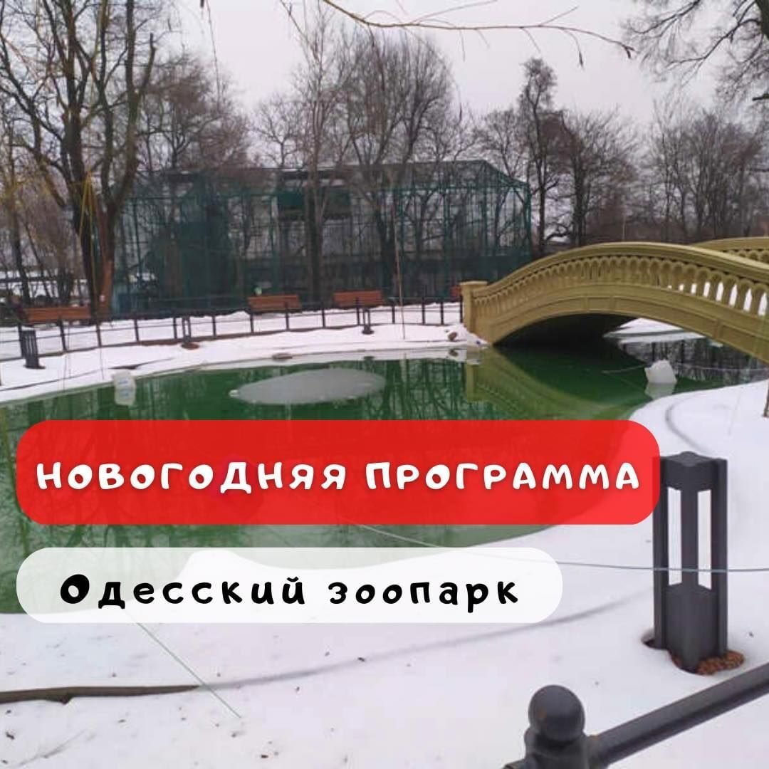Празднование Нового года в Одесском зоопарке 5 (1)