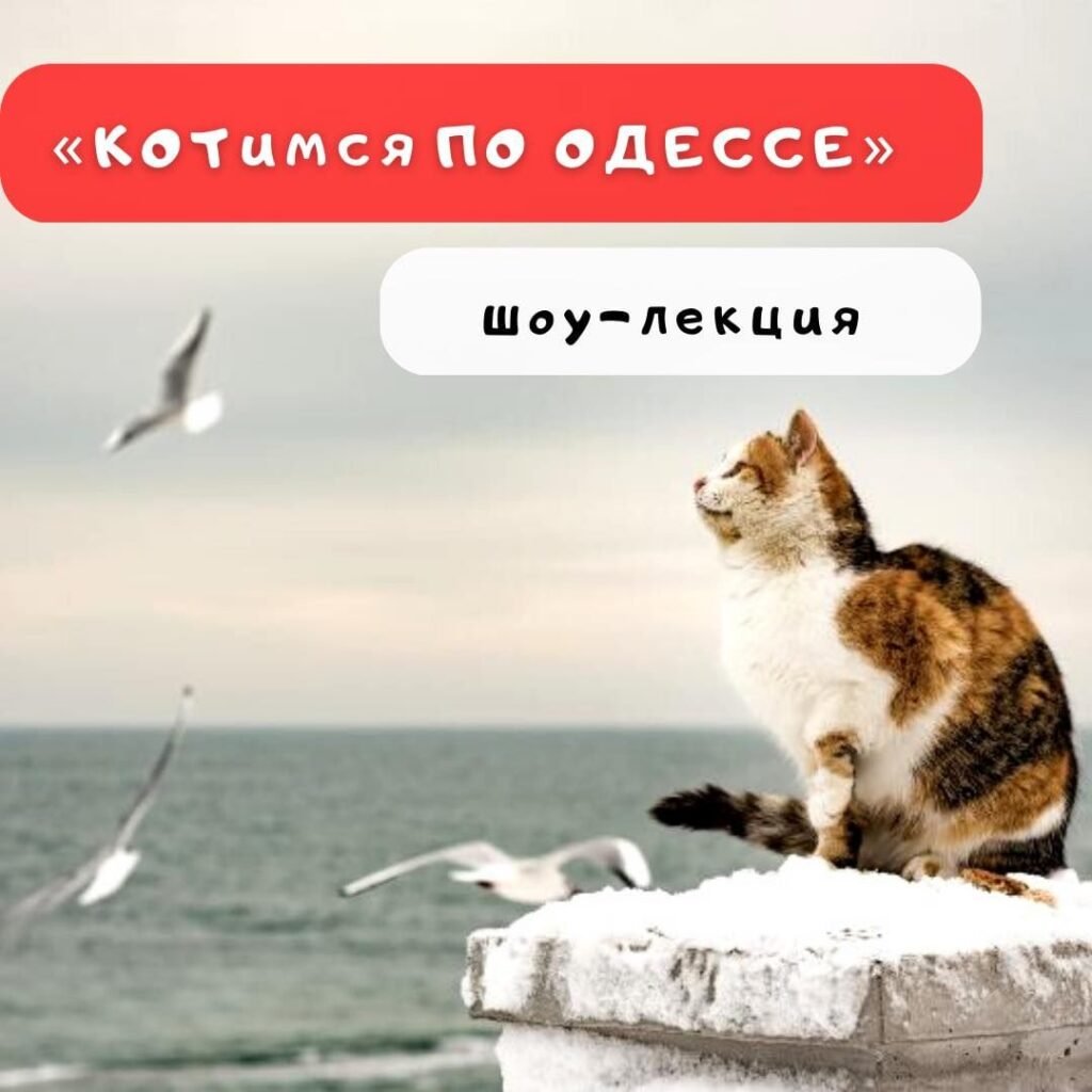 Лекция для детей в Одессе Лекции «КОТимся по Одессе»