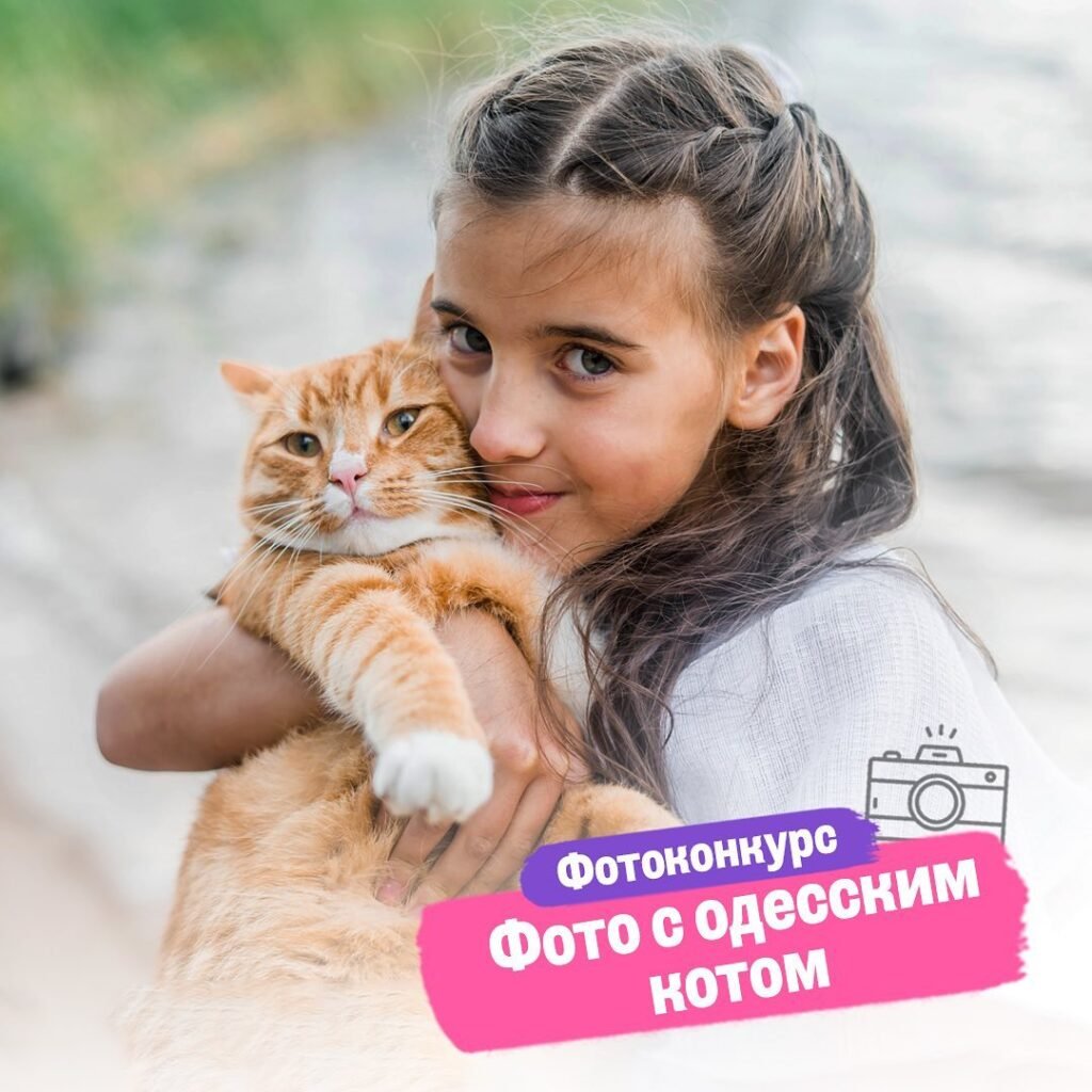 Одесские коты - фотоконкурс