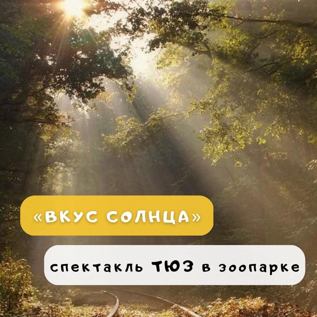 Вкус солнца 5 (1)