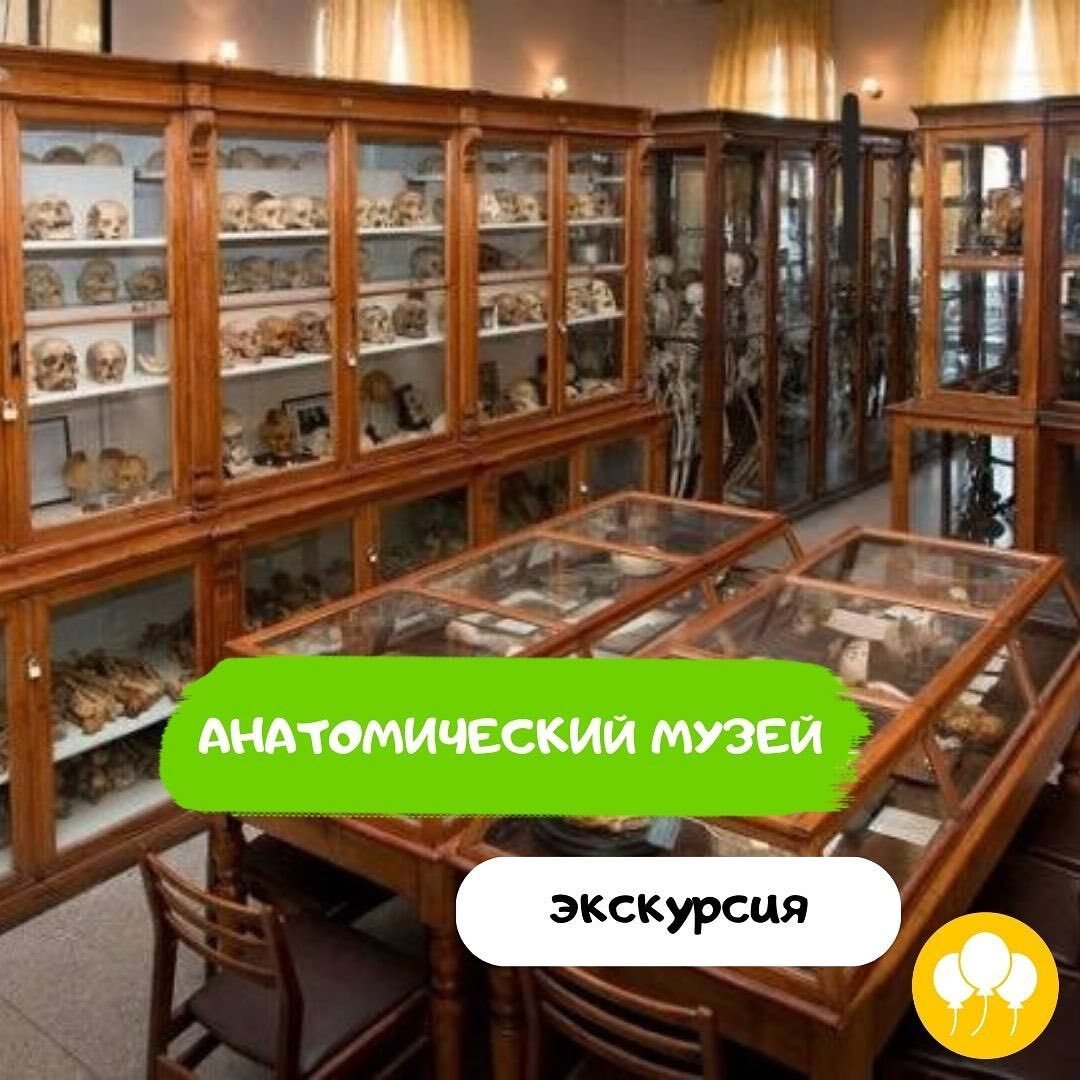 Экскурсия в Анатомический музей 0 (0)