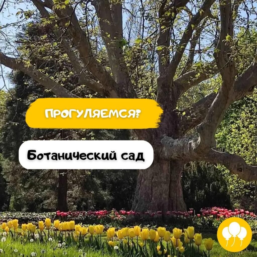 Прогулка в Ботанический сад