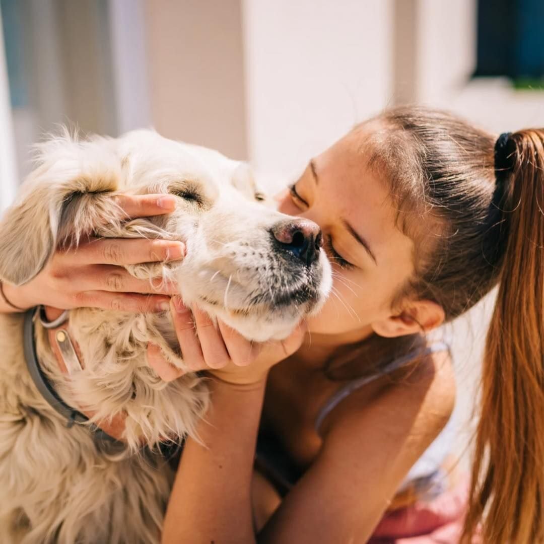 Наши питомцы 0 (0) Наши питомцы 0 (0)