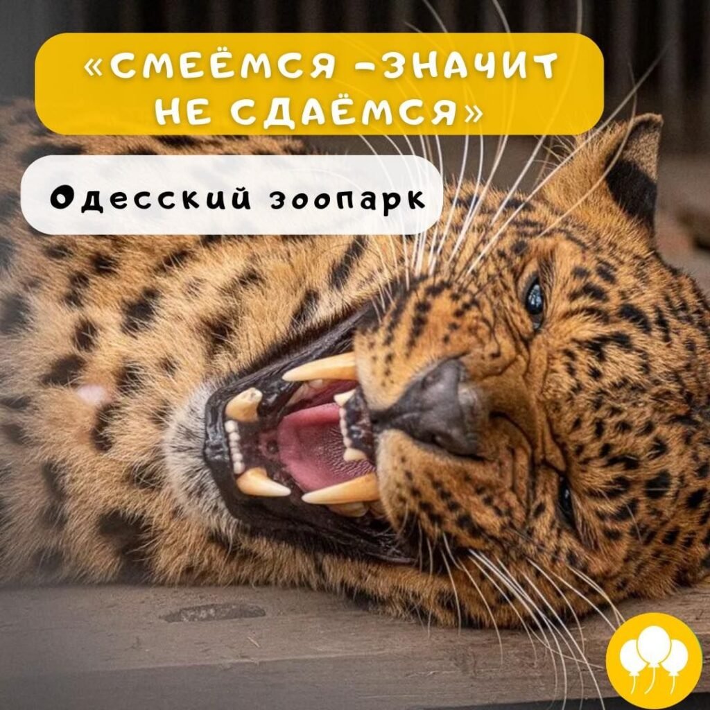 Детский праздник «Смеёмся - значит не сдаёмся»