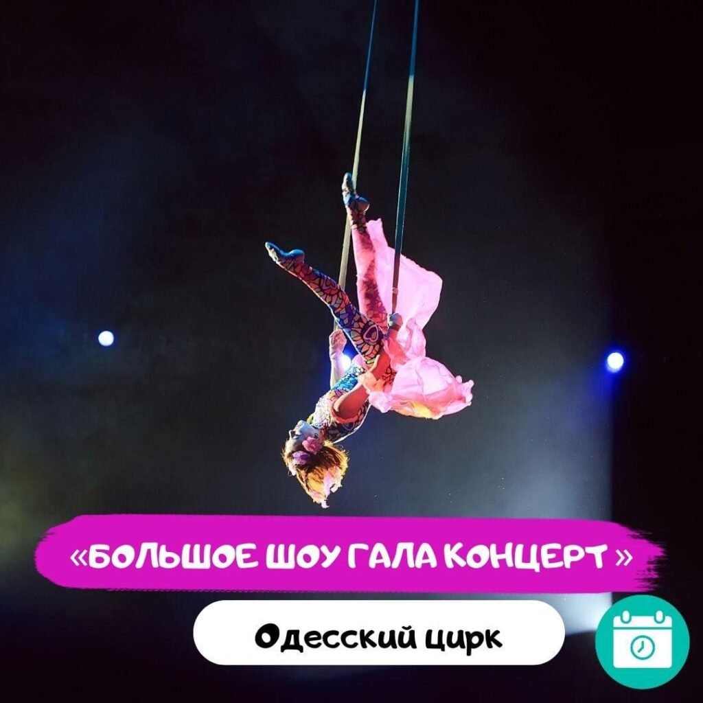 Государственный цирк