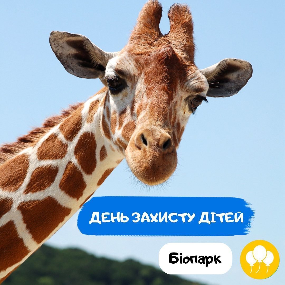 1 червня в Біопарку 0 (0)