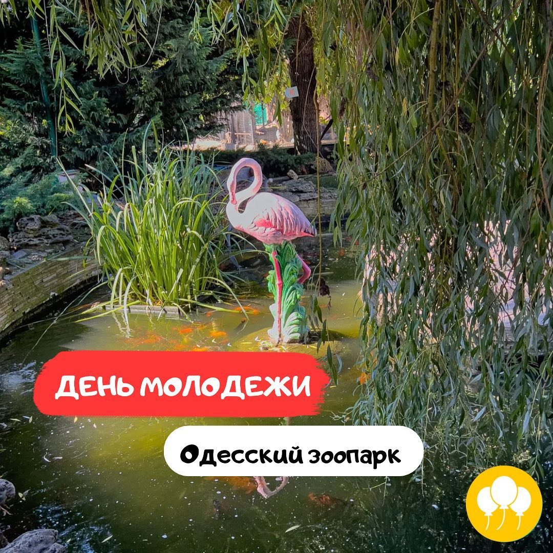 День молодежи