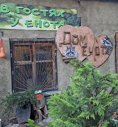 Дом Енота