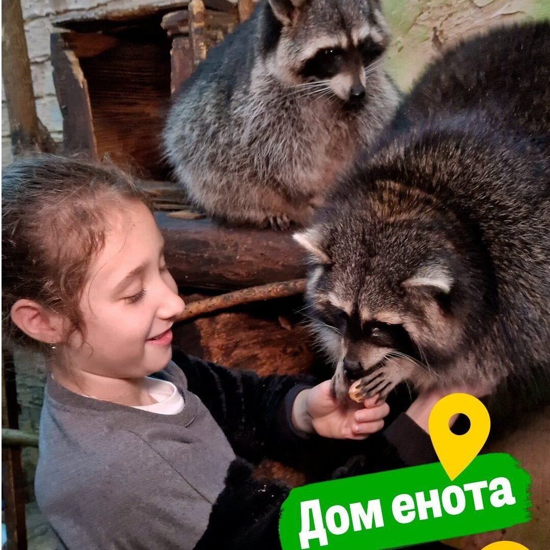 Дом енота 5 (1)