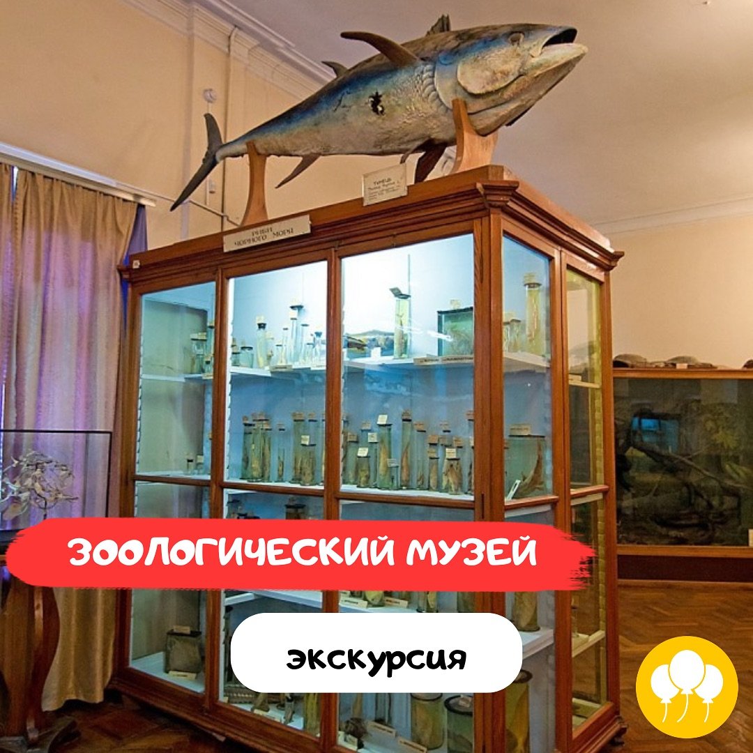 Зоологический музей