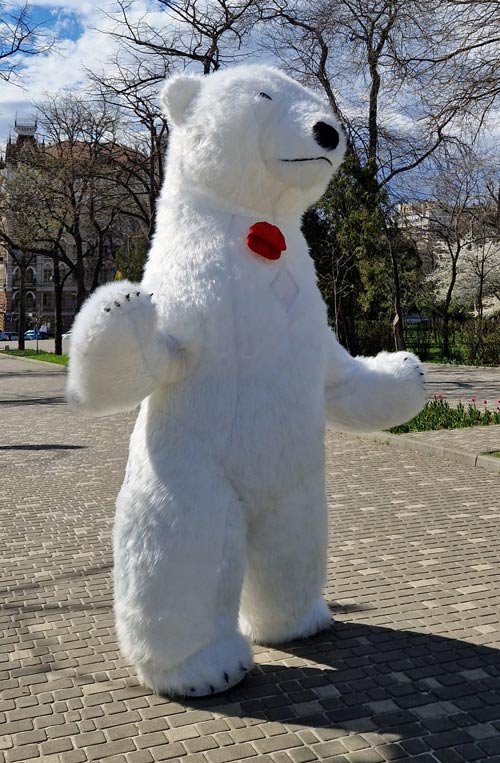 Аниматоры медведи заказать