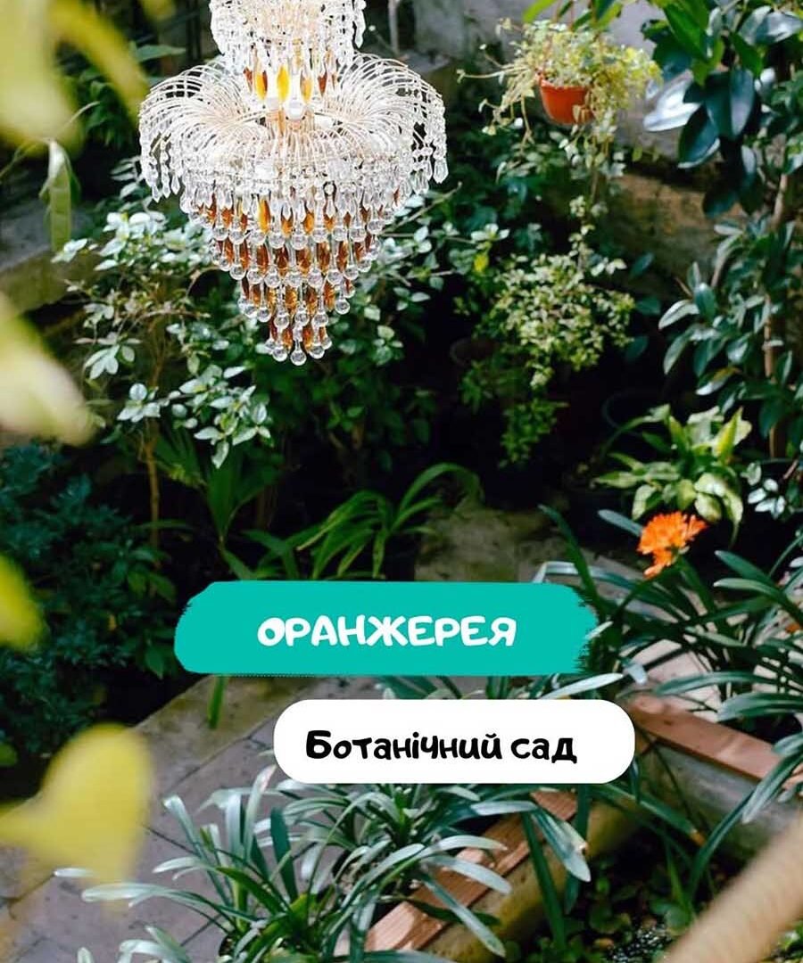 Оранжерея 5 (1)