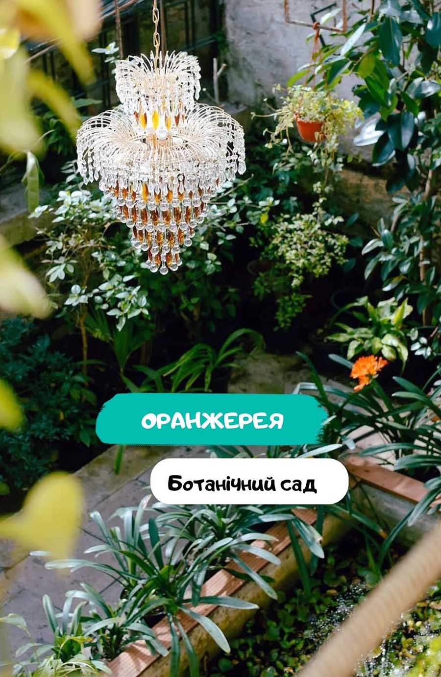 Оранжерея в Одесі