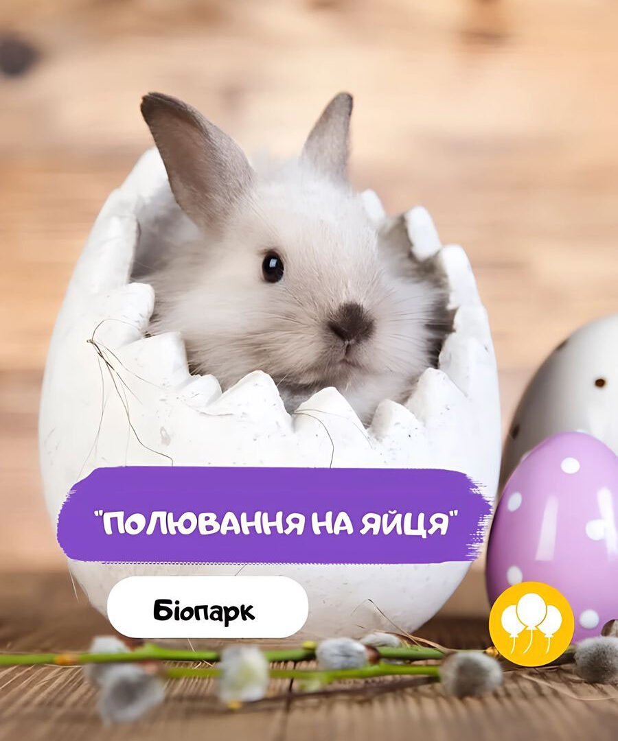 Полювання на яйця 0 (0)