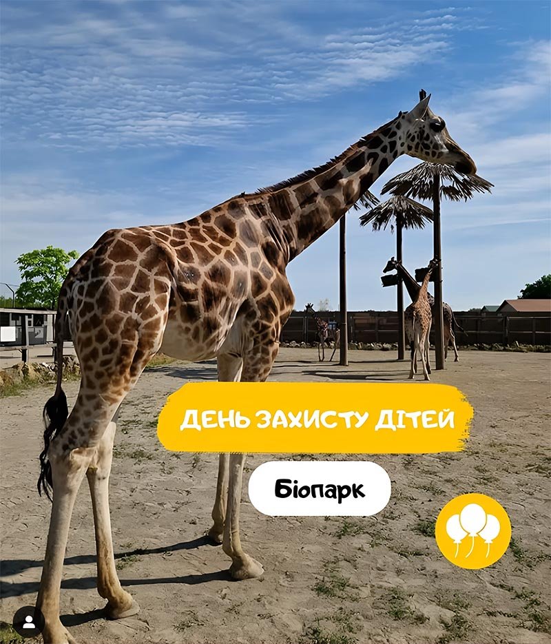 Дитяче свято в серці природи