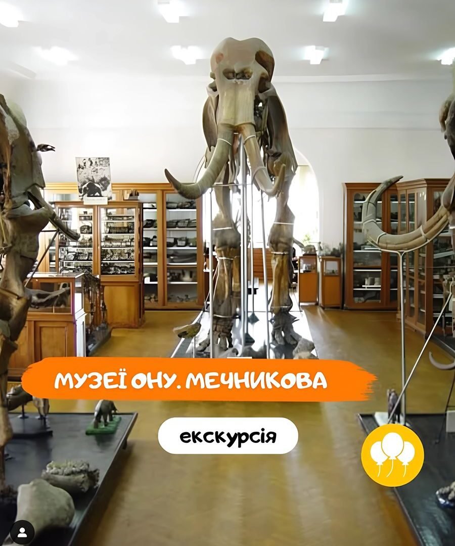 Екскурсії по музеям 5 (1)