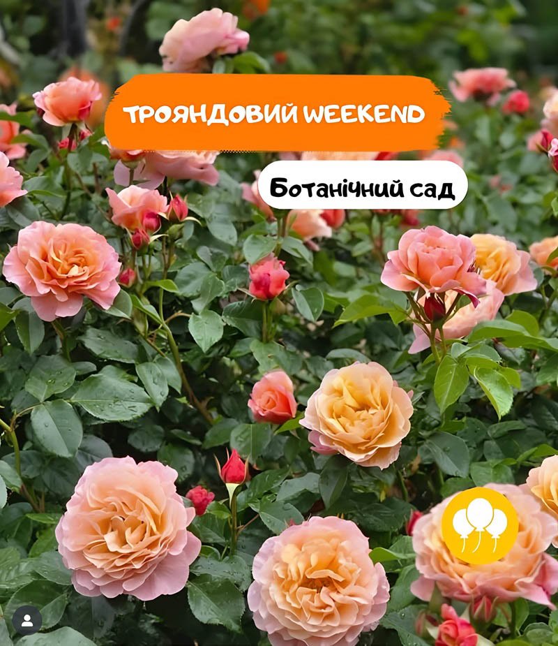 Запрошує Одеський ботанічний сад