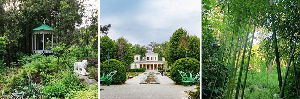 Где находится ботанический сад 
