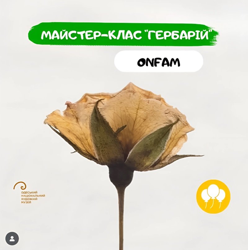 Мастер-класс «Гербарий» 5 (1)