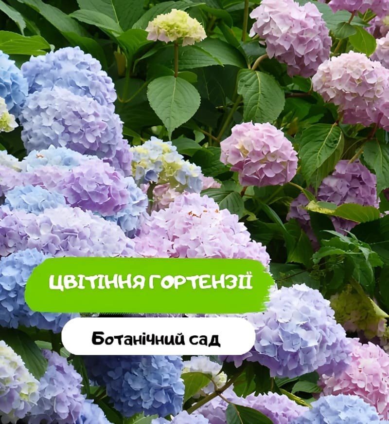 Ботанический сад Одессы