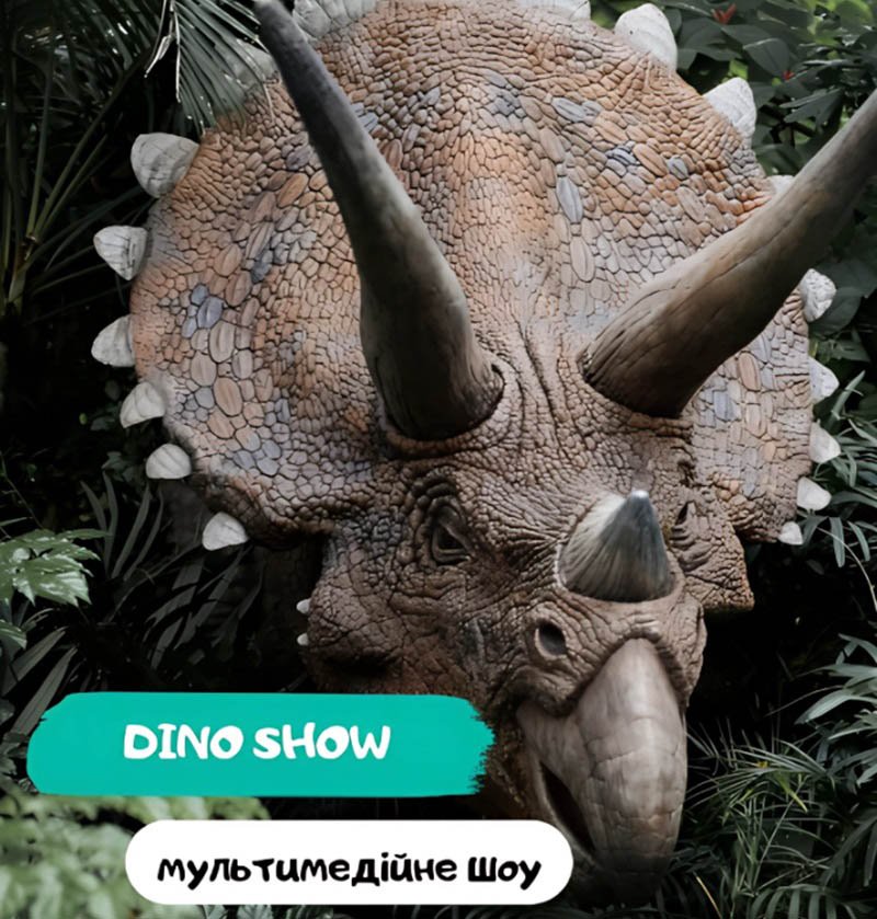Дино Шоу в Одессе 0 (0)