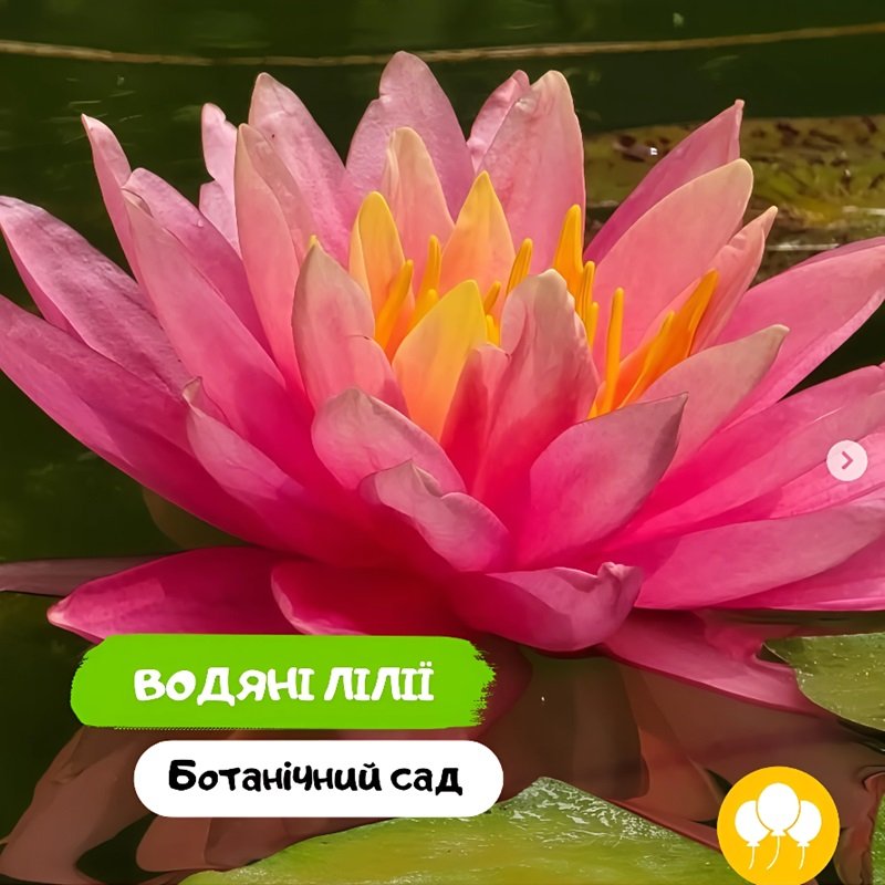 Ботанический сад Одесса