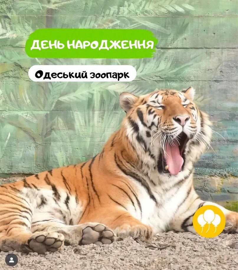 Одесский зоопарк день рождения