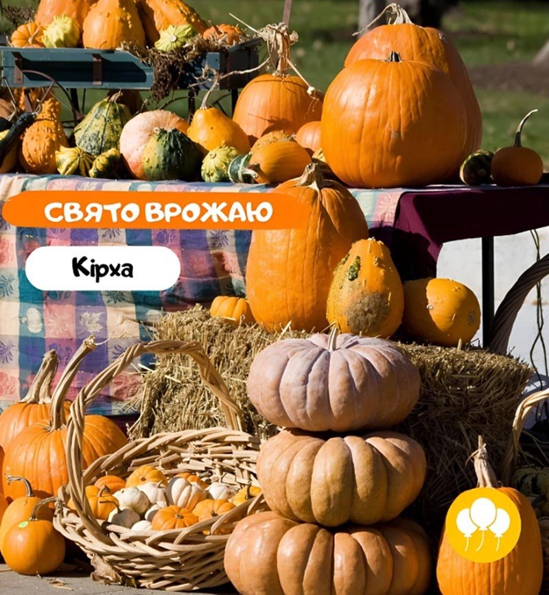 Праздник урожая