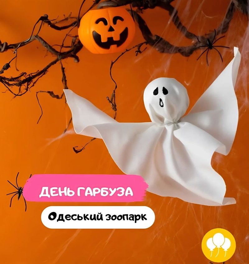 День тыквы в Одесском зоопарке 