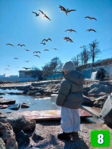 Фотоконкурс зима 2025-2026 в Одессе