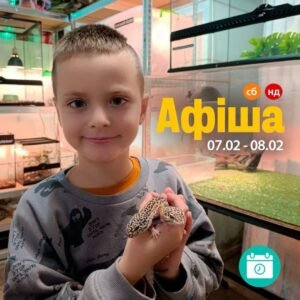 Мероприятия 7-8 февраля