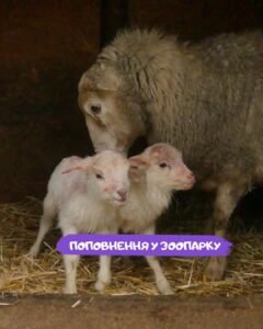 Пополнение в зоопарке