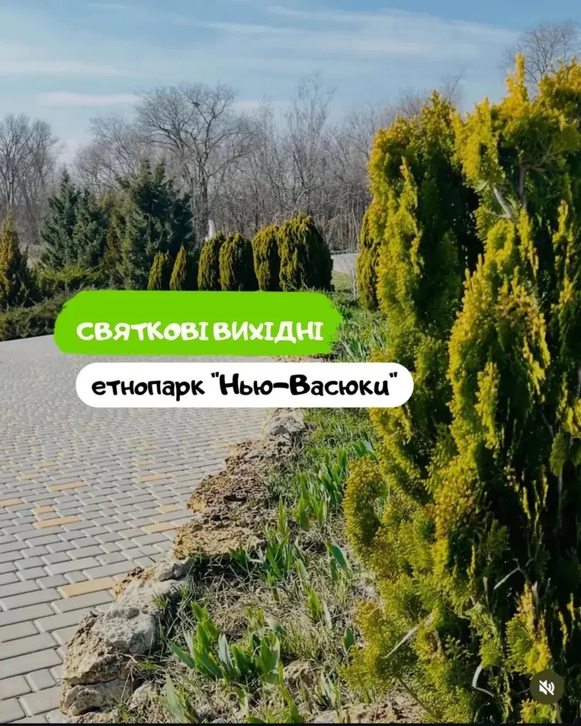 Парк Нью-Васюки