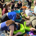 Конкурсы на Picnic Fest Odesa
