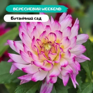Сентябрьские выходные в Ботаническом саду